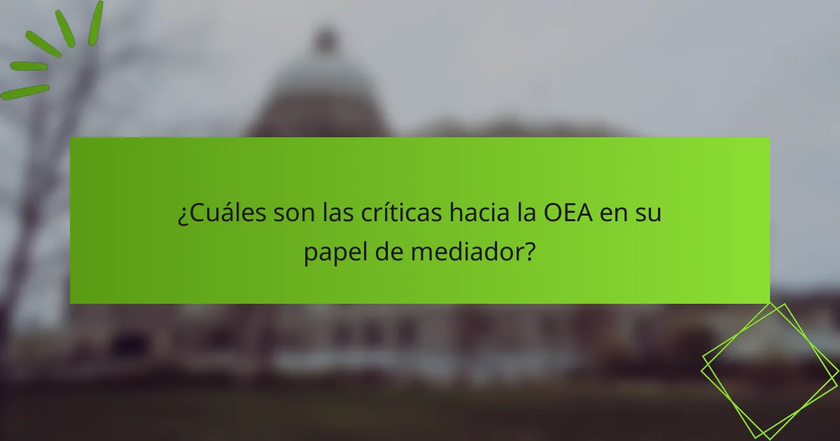 ¿Cuáles son las críticas hacia la OEA en su papel de mediador?