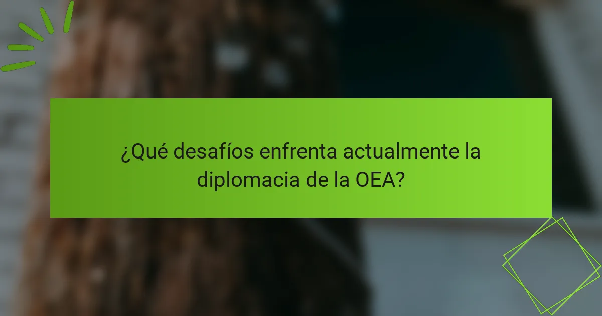 ¿Qué desafíos enfrenta actualmente la diplomacia de la OEA?